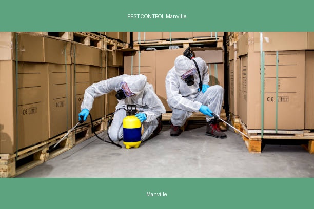 PEST CONTROL Manville